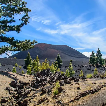 Sunbeach Appartement